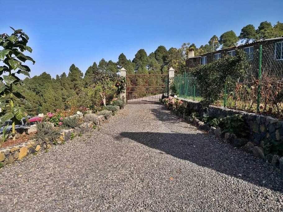 Finca Los Tamarillos Santa Cruz de Tenerife Exteriör bild