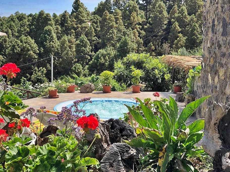 Finca Los Tamarillos Santa Cruz de Tenerife Exteriör bild